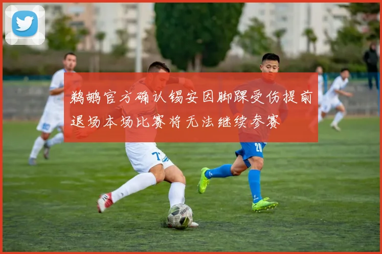 鹈鹕官方确认锡安因脚踝受伤提前退场本场比赛将无法继续参赛